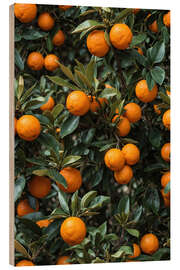 Hout print Oranges