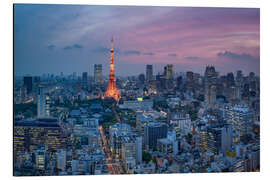 Aluminium print Tokyo city view with Tokyo Tower