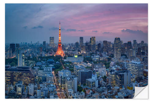 Naklejka na ścianę Tokyo city view with Tokyo Tower