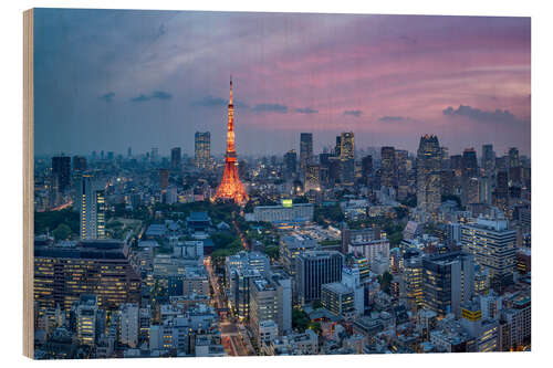 Print på træ Tokyo city view with Tokyo Tower