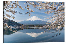 Aluminiumtavla Mount Fuji and Lake Kawaguchi in spring I