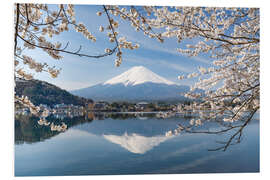 Print på skumplade Mount Fuji and Lake Kawaguchi in spring I