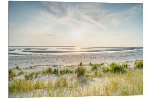 Galleritryck On the dune beach