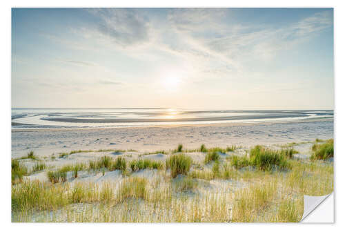 Naklejka na ścianę On the dune beach