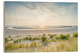 Obraz na drewnie On the dune beach