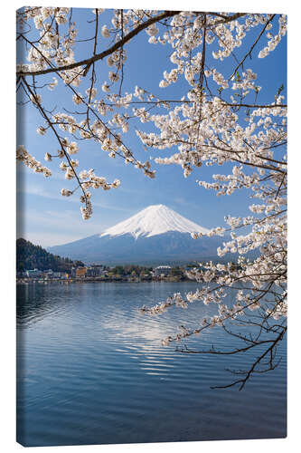 Lærredsbillede Mount Fuji and Lake Kawaguchi in Spring II