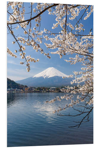 Stampa su PVC Mount Fuji and Lake Kawaguchi in Spring II