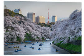 Acrylic print Cherry blossoms in Tokyo