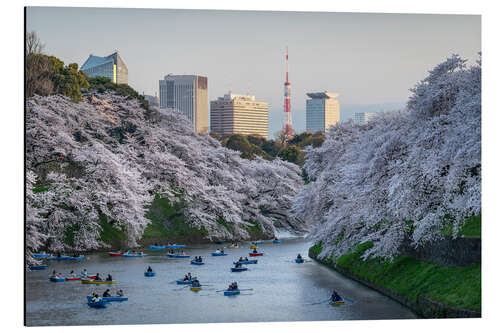 Tableau en aluminium Cherry blossoms in Tokyo