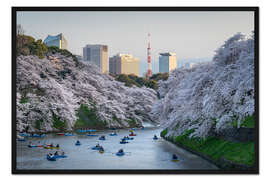 Gerahmter Kunstdruck Kirschblüten in Tokio