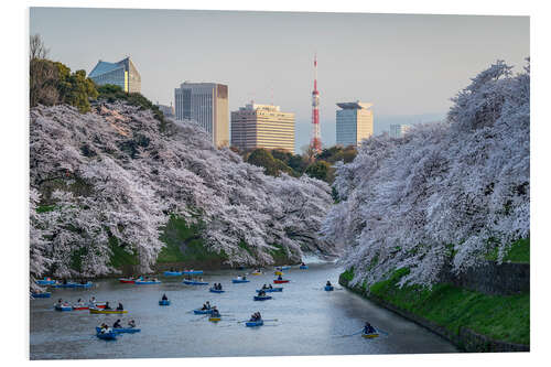 Cuadro de PVC Cherry blossoms in Tokyo