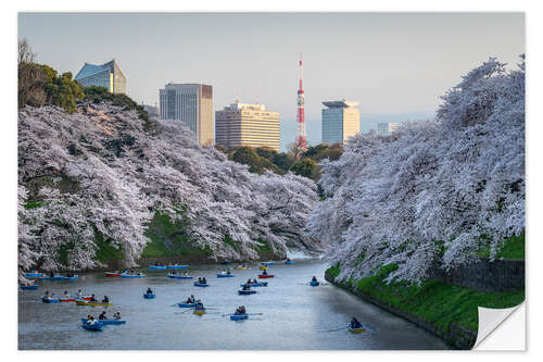 Vinilo para la pared Cherry blossoms in Tokyo