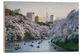 Trätavla Cherry blossoms in Tokyo