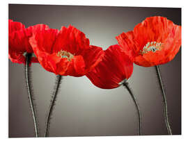 Tableau en PVC Poppy Parade