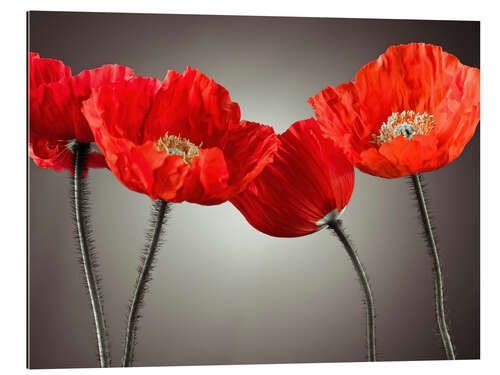 Gallery print Poppy Parade