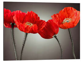 Magnettafel Poppy Parade