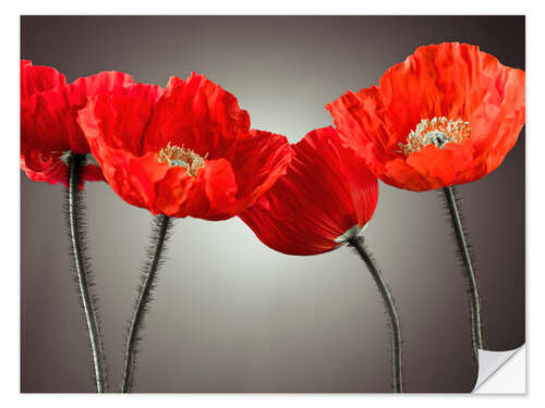 Wall sticker Poppy Parade