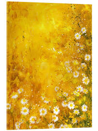 Acrylic print Fresh Daisies