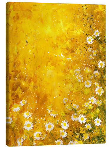 Canvas print Fresh Daisies