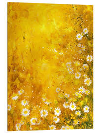 Quadro em plexi-alumínio Fresh Daisies