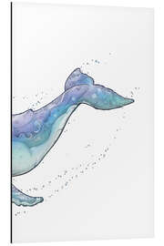 Magnettafel Buckelwal I