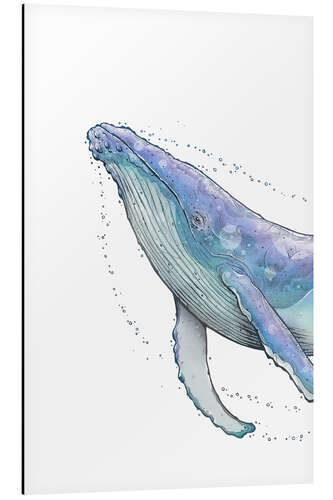 Aluminium print Humpback whale II