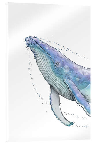 Gallery print Humpback whale II