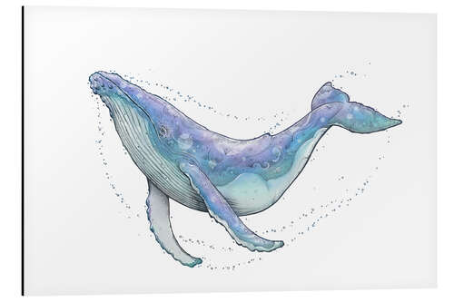 Aluminium print Humpback Whale III