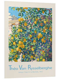 Foam board print Lemon Trees in La Mortola, 1921