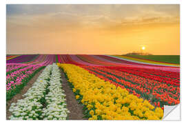 Sticker mural Tulip Field at Sunset