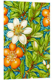 Foam board print Orange Blossom