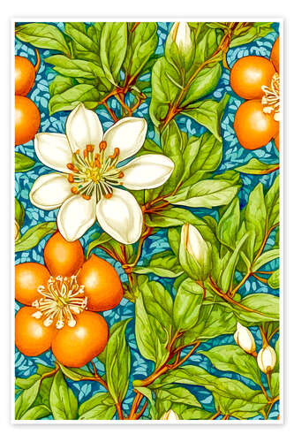 Poster Orange Blossom