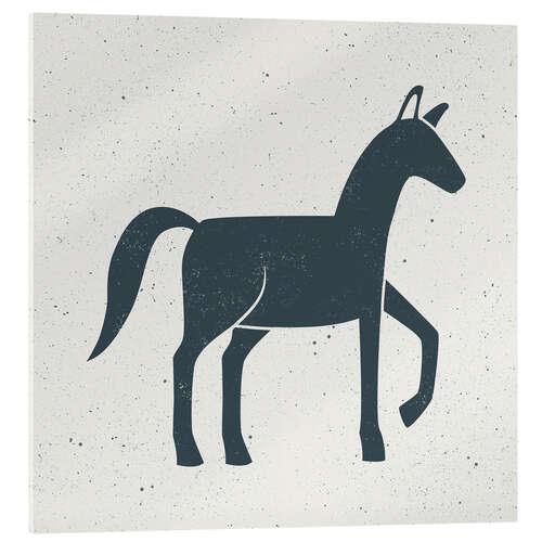 Acrylglas print Indigo Horse