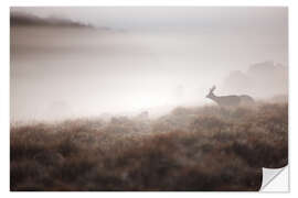 Sticker mural Sambar deer in the morning mist, Horton Plains, Sri Lanka