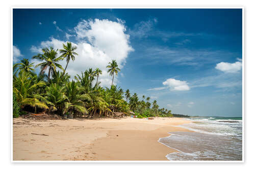 Poster Dream beach near Tangalle, Sri Lanka