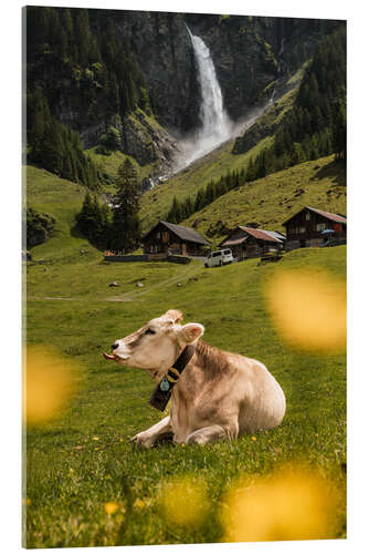 Quadro em acrílico Swiss cow on mountain pasture in front of waterfall