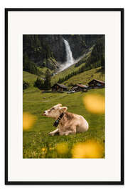 Gerahmter Kunstdruck Schweizer Kuh auf Alm vor Wasserfall