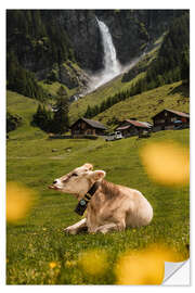 Sticker mural Swiss cow on mountain pasture in front of waterfall