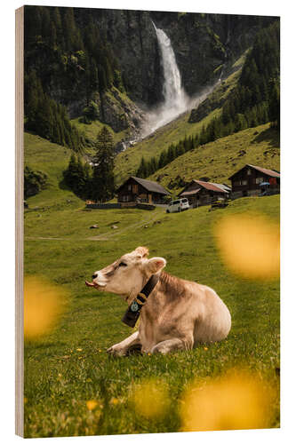 Quadro de madeira Swiss cow on mountain pasture in front of waterfall