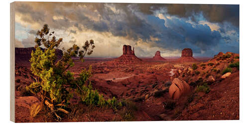 Trebilde Dramatic Monument Valley