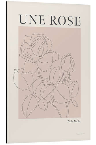 Aluminium print French Flowers - Une Rose