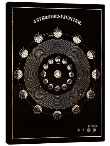 Canvas print Asteroids and Jupiter (Spanish), Asa Smith