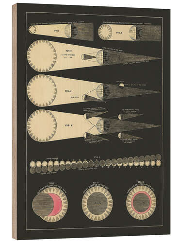 Wood print Eclips diagram, Asa Smith