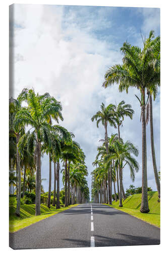 Canvas print Palm tree avenue in Guadeloupe, Caribbean