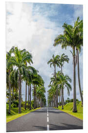 Tableau en PVC Palm tree avenue in Guadeloupe, Caribbean