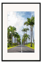 Gerahmter Kunstdruck Palmenallee auf Guadeloupe, Karibik