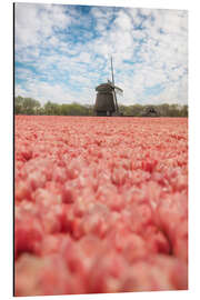 Aluminium print Dutch windmill behind a tulip field - Martin Podt