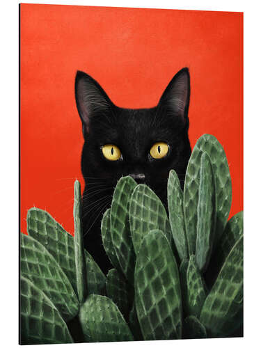 Aluminium print Black cat in cactuses