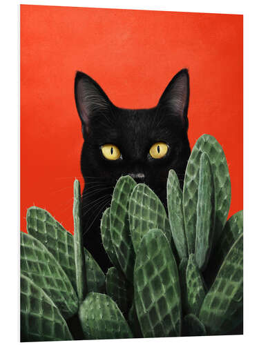 Tableau en PVC Black cat in cactuses