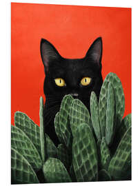 Foam board print Black cat in cactuses